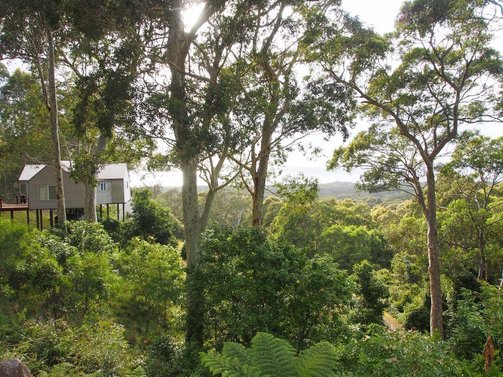 Bundle Hill Cottages Bawley Point Номер фото